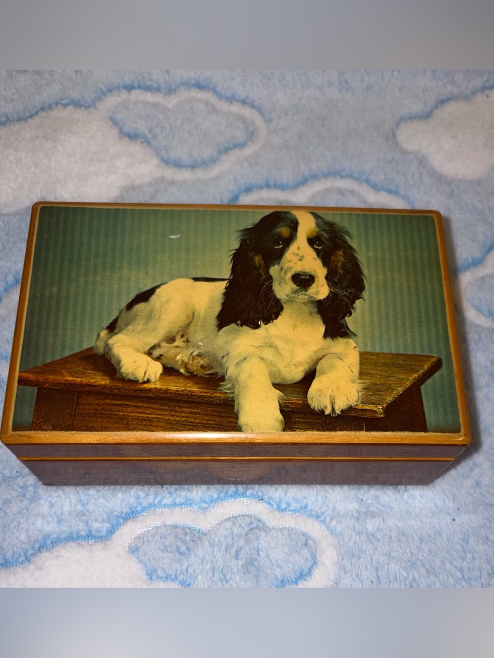 Vintage Tallent of Old Bond Street  musical jewellery box With Spaniel Dog